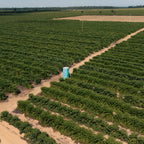 Sanitário Hidráulico Ecovit (Venda e Aluguel)