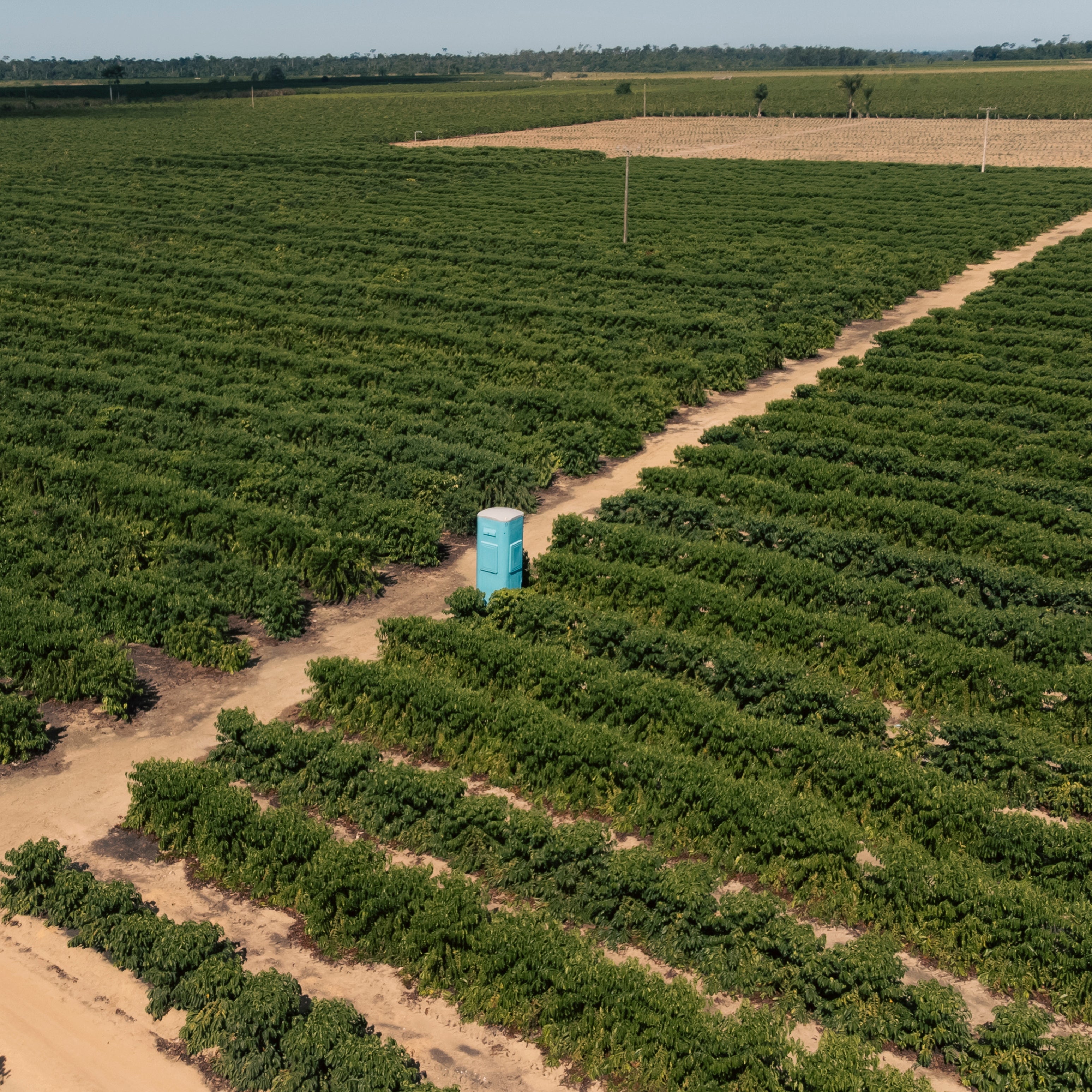 Sanitário Hidráulico Ecovit (Venda e Aluguel)